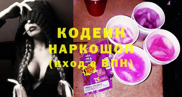 шишки Покачи