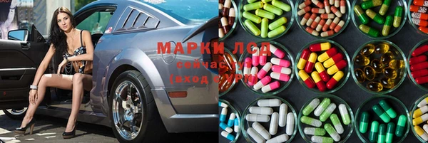 шишки Покачи