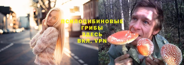 крисы Абдулино