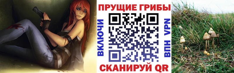 как найти закладки  Алапаевск  Псилоцибиновые грибы GOLDEN TEACHER 