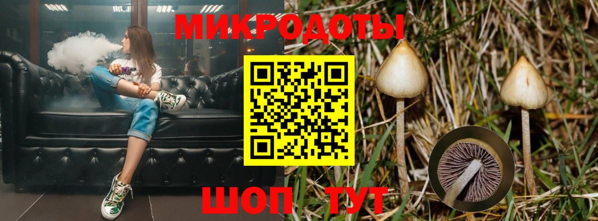 Псилоцибиновые грибы прущие грибы  Вход с VPN  Алапаевск 